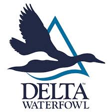 Delta Waterfoul logo